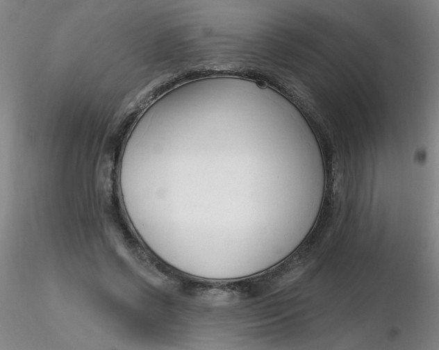 X0000116300542200912211903