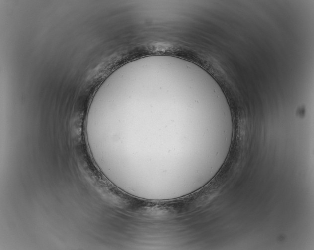 X0000116300545200912211903