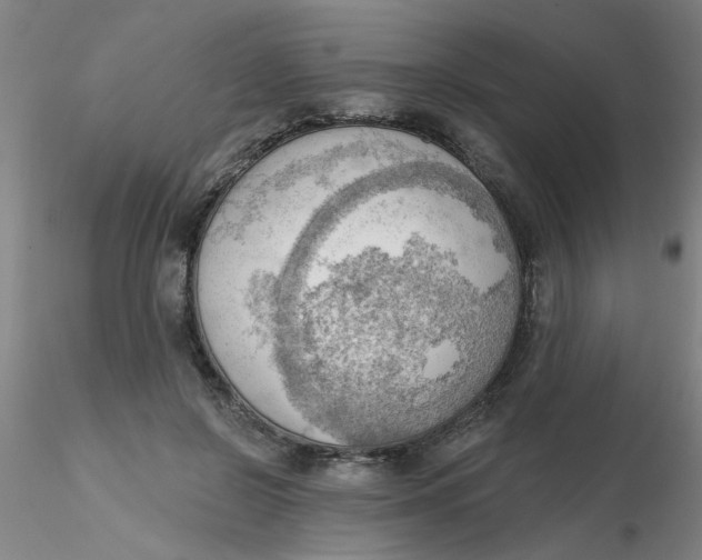 X0000116300550200912211904