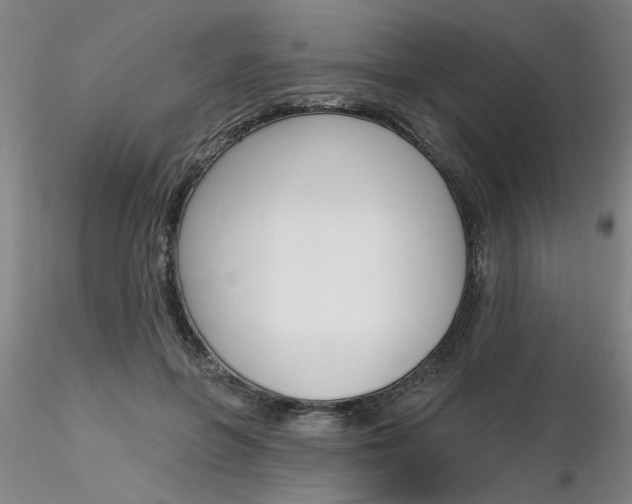 X0000116300551200912211904