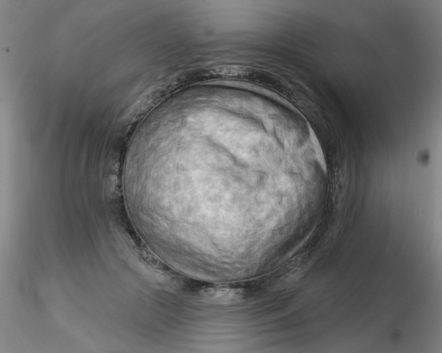 X0000116300553200912211904