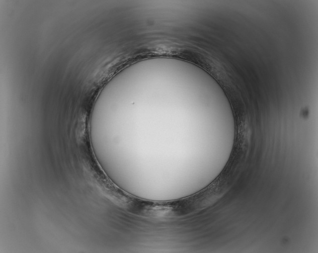 X0000116300554200912211904