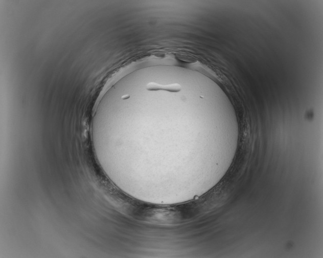 X0000116300555200912211904