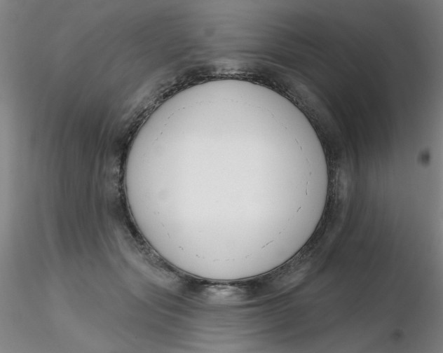 X0000116300557200912211904