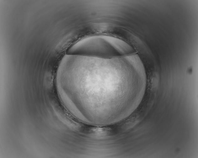 X0000116300558200912211904