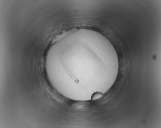 X0000116300563200912211904