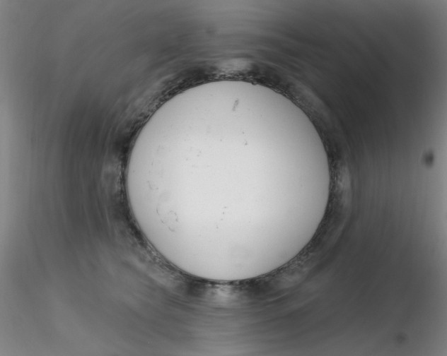 X0000116300565200912211904