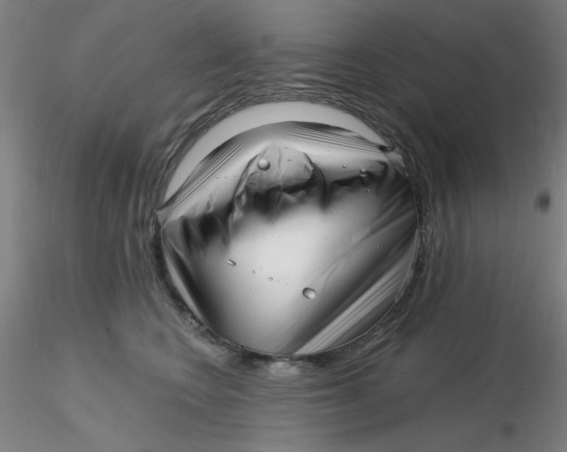 X0000116300566200912211904