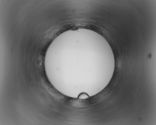 X0000116300567200912211904