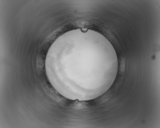 X0000116300569200912211904