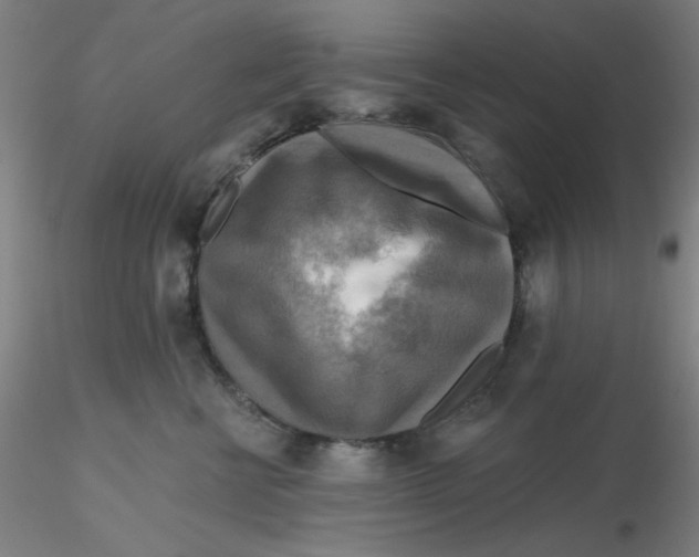 X0000116300570200912211904