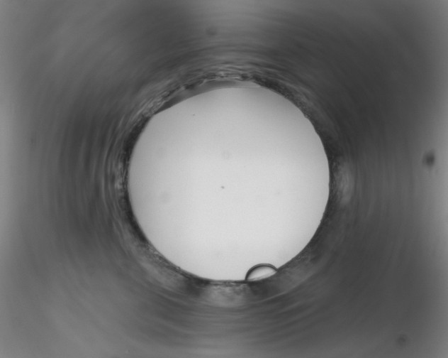 X0000116300571200912211904