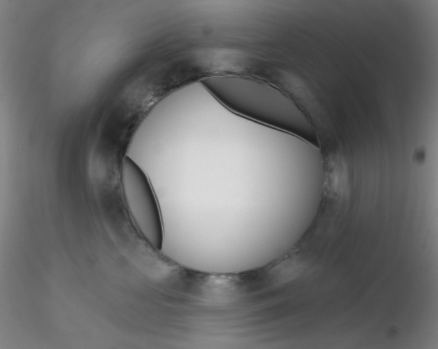 X0000116300573200912211904