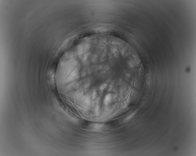 X0000116300575200912211904