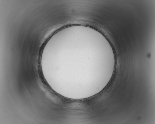 X0000116300578200912211903