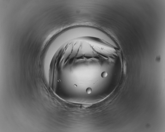 X0000116300579200912211903