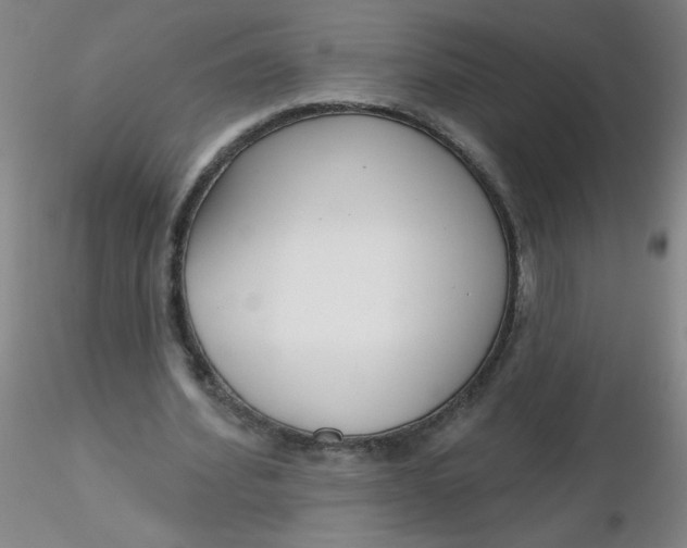 X0000116300580200912211903