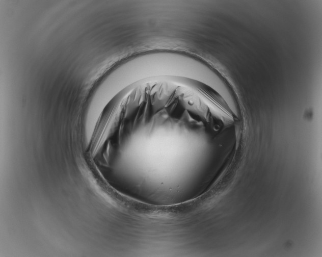 X0000116300581200912211903