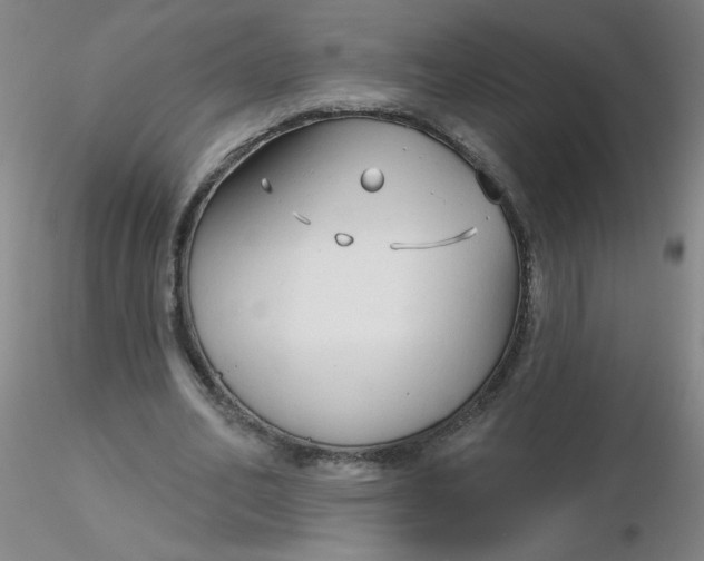 X0000116300582200912211903