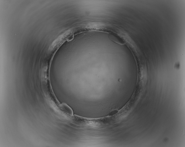 X0000116300585200912211903