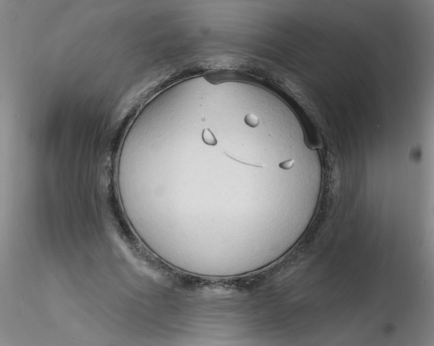 X0000116300586200912211903