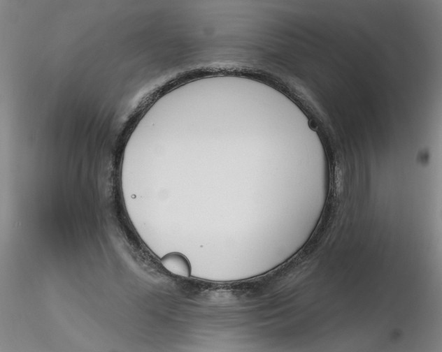 X0000116300588200912211903