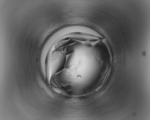 X0000116300589200912211903