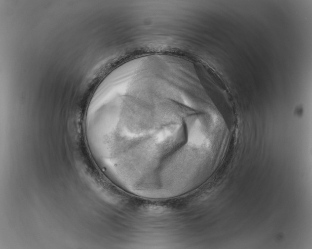 X0000116300590200912211903