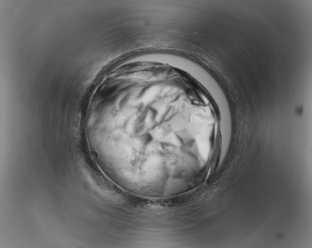 X0000116300592200912211903