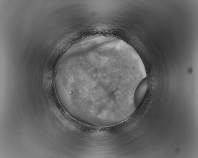 X0000116300593200912211903