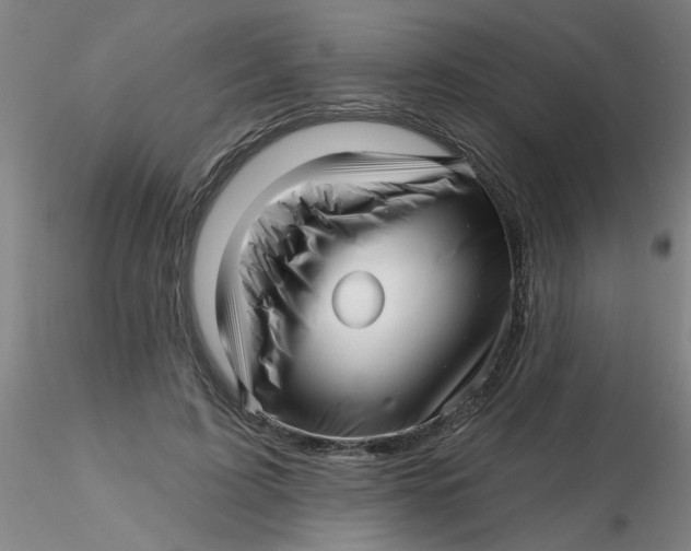 X0000116300595200912211903