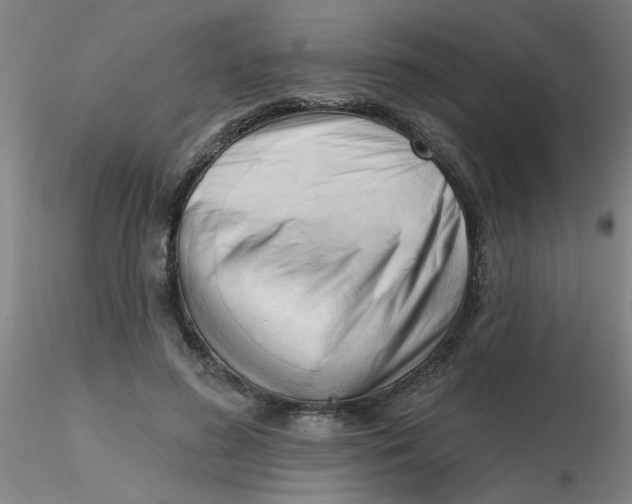 X0000116300596200912211903