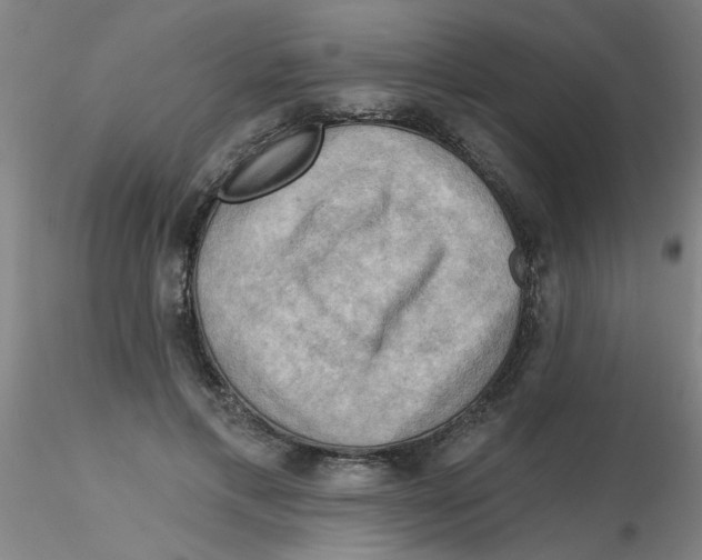 X0000116300597200912211903