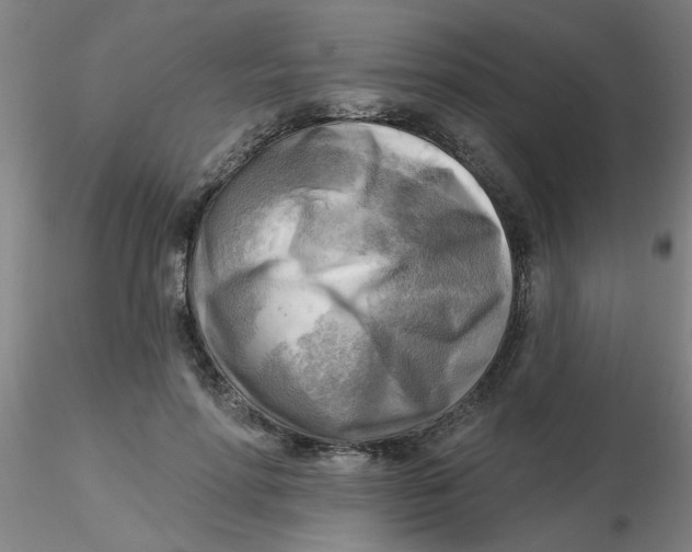 X0000116300598200912211903