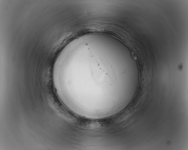 X0000116300600200912211903