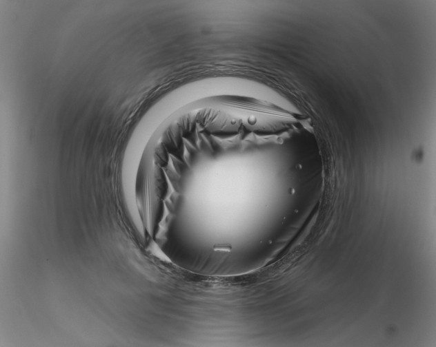 X0000116300601200912211903