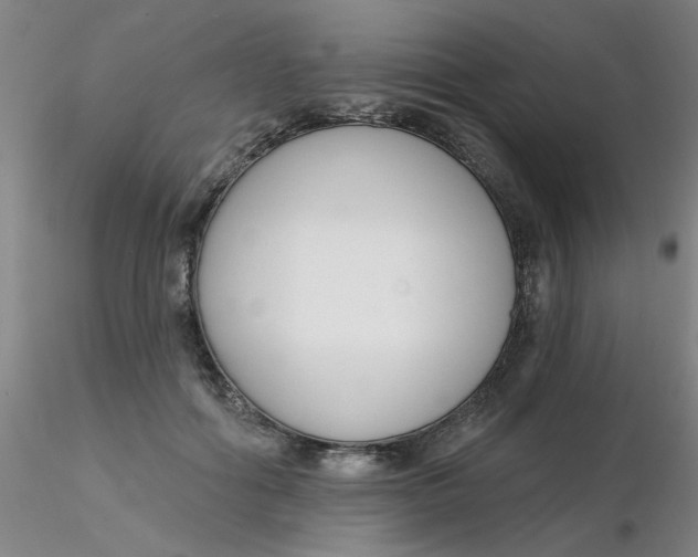 X0000116300602200912211903