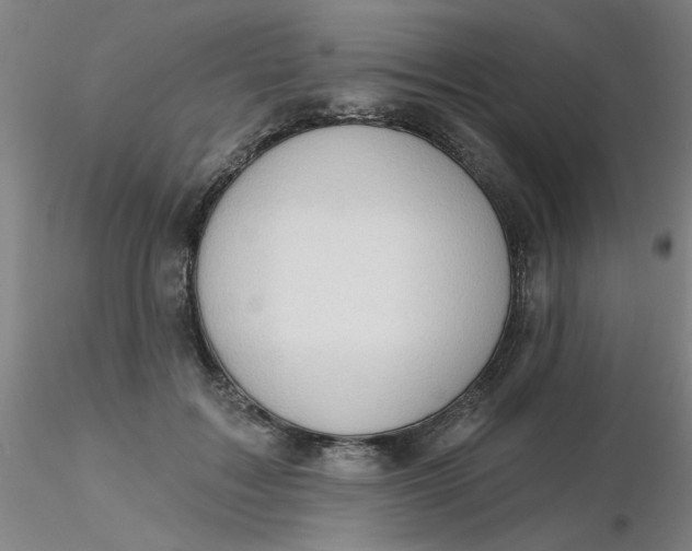 X0000116300603200912211903