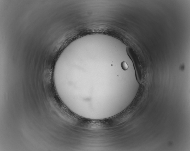 X0000116300604200912211903