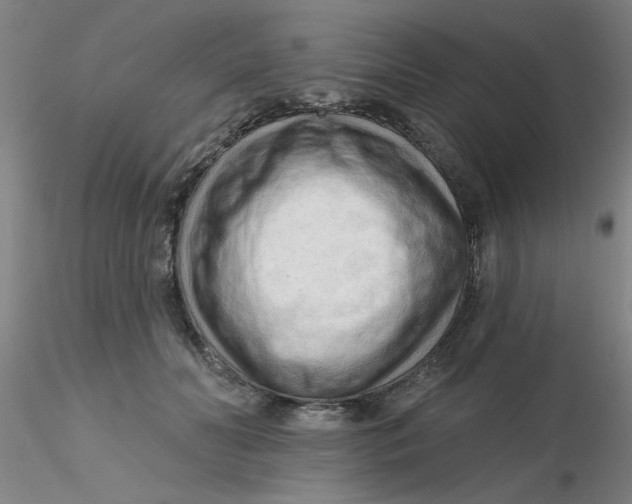 X0000116300606200912211903