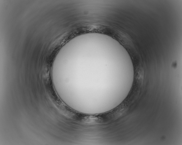 X0000116300607200912211903