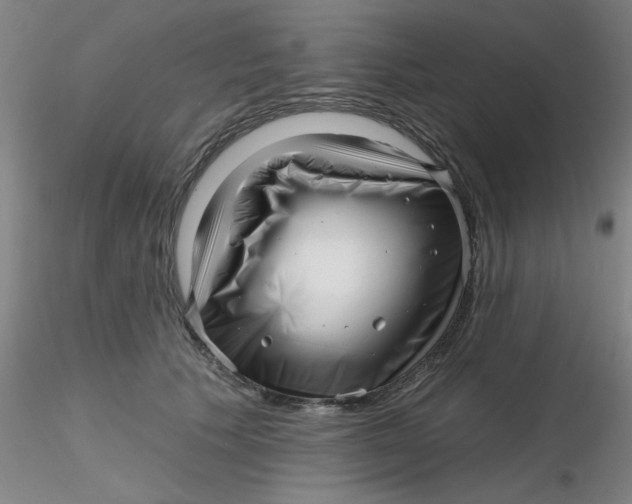 X0000116300609200912211903