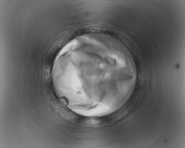 X0000116300610200912211903