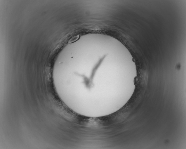 X0000116300612200912211903