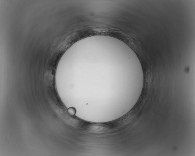 X0000116300614200912211903