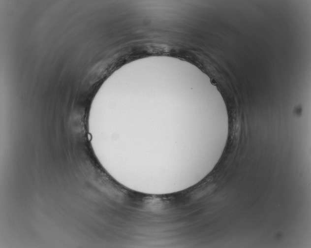 X0000116300616200912211903