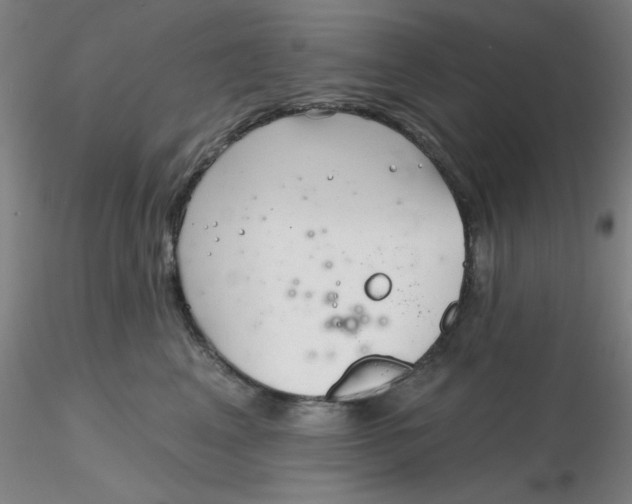 X0000116300617200912211903