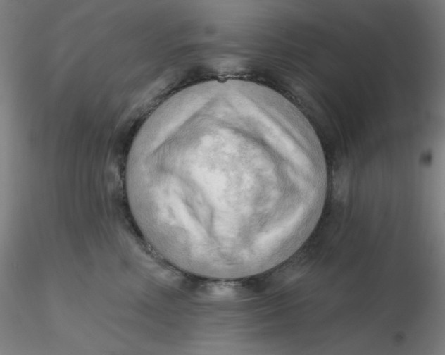 X0000116300618200912211903