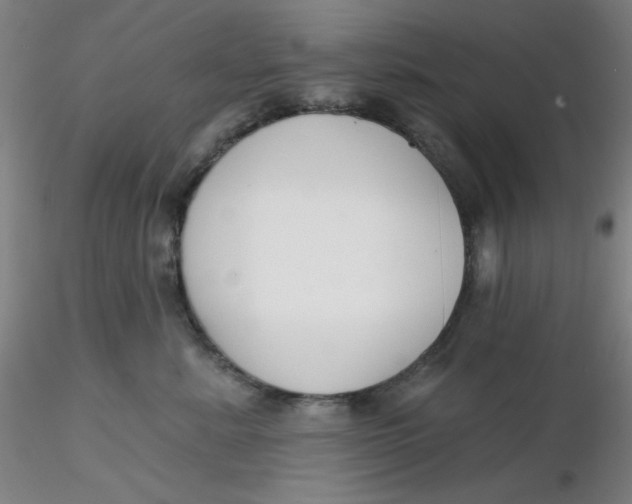 X0000116300619200912211903