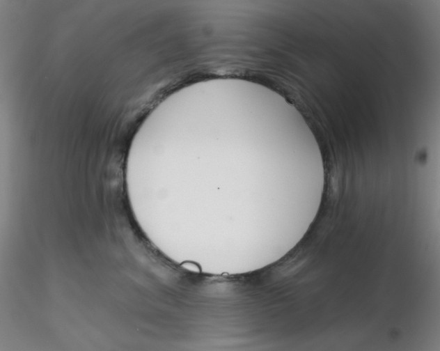 X0000116300620200912211903